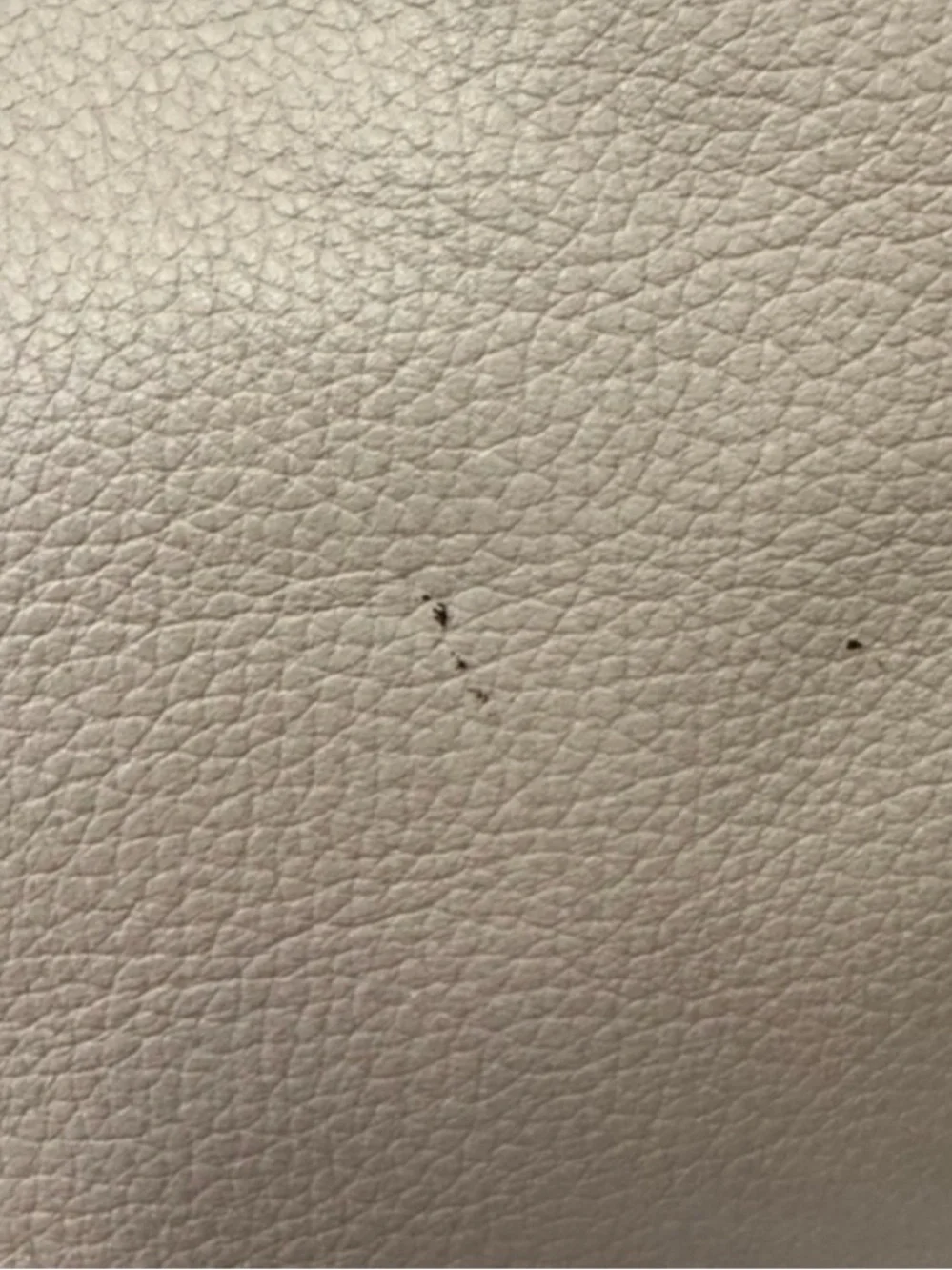 Kate Spade Stone Pebbled Leather Tote with Braided Straps